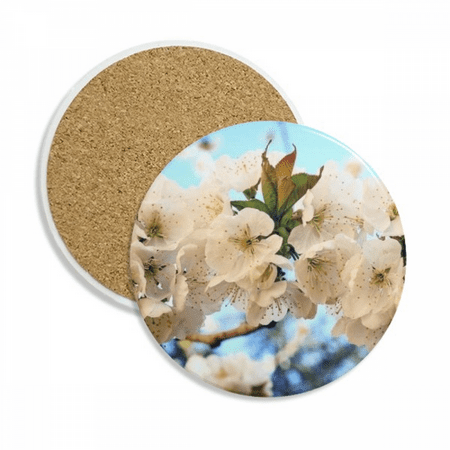 White Flowers Beautiful Rose Coaster Cup Mug Tabletop Protection Absorbent Stone
White Flowers Beautiful Rose Coaster Cup Mug Tabletop Protection Absorbent Stone
