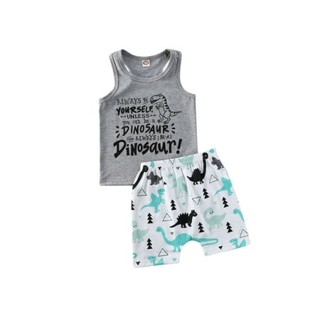 Toddler Baby Girl Boy Dinosaur Vest Crop Tops Short Pants Outfits Clothes Summer 1-4Years
Toddler Baby Girl Boy Dinosaur Vest Crop Tops Short Pants Outfits Clothes Summer 1-4Years