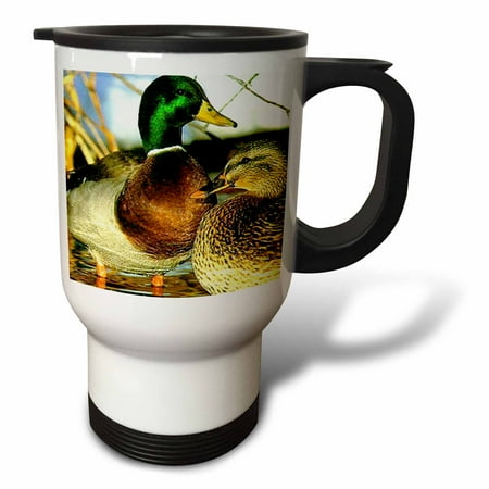 3dRose Mallard Duck Travel Mug 14oz Stainless Steel