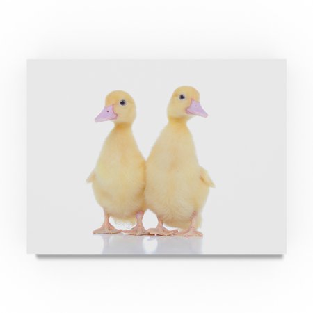 Trademark Fine Art Andrea Mascitti Puppies 'Duck Friends' Canvas Art
