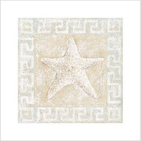 Starfish by C.C. Wilson 12x12 Coastal Art Print Poster
