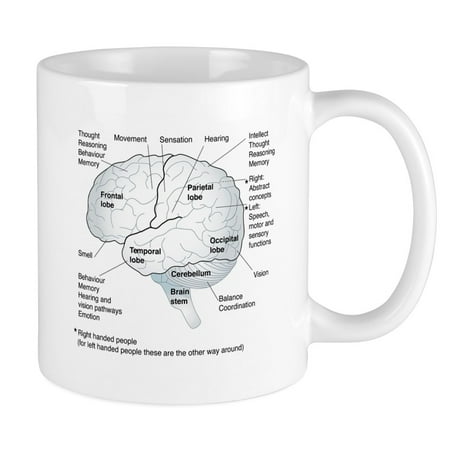CafePress - Functional Areas Of The Brain Artwork 11 Oz Ceram - Ceramic Coffee Tea Novelty Mug Cup 11 oz
CafePress - Functional Areas Of The Brain Artwork 11 Oz Ceram - Ceramic Coffee Tea Novelty Mug Cup 11 oz