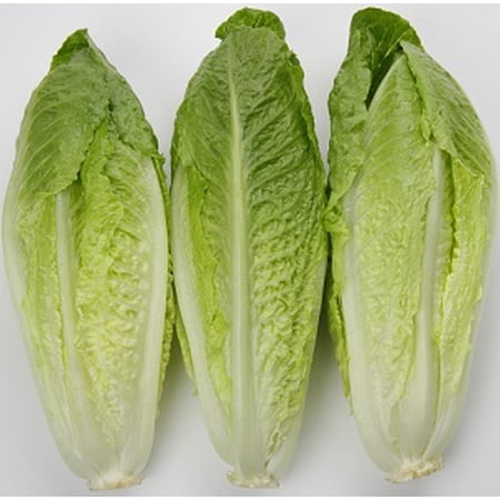 Produce Unbranded Lettuce, Romaine Heart 3ct