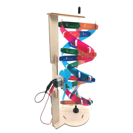 Double Helix Model | Automatic Rotating DNAs Structure Model Kits | Science Educational Toy Teaching Instrument Home Decoration for Children Student
Double Helix Model | Automatic Rotating DNAs Structure Model Kits | Science Educational Toy Teaching Instrument Home Decoration for Children Student