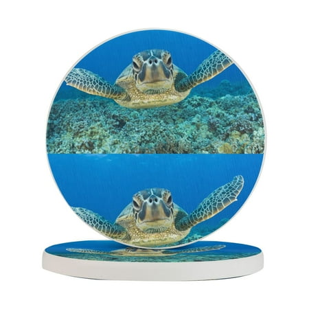 Circular Drink Coasters Set Baby Turtle Wallpaper Beautiful Home Decor Diatomite Heat-Resistant Diatomite Protect Table Countertop
Circular Drink Coasters Set Baby Turtle Wallpaper Beautiful Home Decor Diatomite Heat-Resistant Diatomite Protect Table Countertop