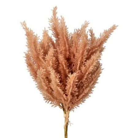 Mr. MJs Trading CM-RC860BR Flocked Brown Pampas Bundle Faux Plants & Trees