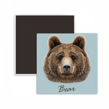 Giant Brown Bear Animal Square Ceracs Fridge Magnet Keepsake Memento