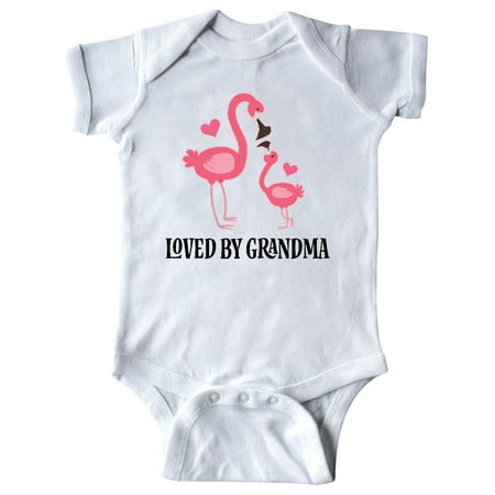 Inktastic Grandma Loves Me Flamingo Grandchild Gift Gift Baby Girl Bodysuit
Inktastic Grandma Loves Me Flamingo Grandchild Gift Gift Baby Girl Bodysuit