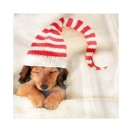 Dachshund Napkins Set of 4, Sleeping Puppy Wearing a Christmas Elf Hat, Silky Satin Fabric for Brunch Dinner Buffet Party, by Ambesonne