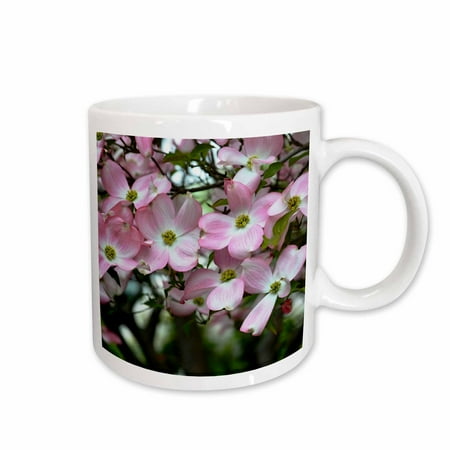 3dRose Spring Trees - Pink Dogwood Flowers - Floral Print Ceramic Mug 15-ounce