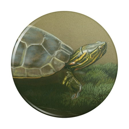 Painted Turtle on a Mossy Log Kitchen Refrigerator Locker Button Magnet