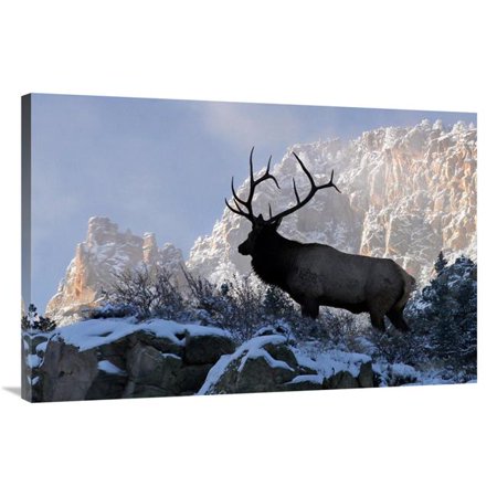 40 in. King of the Mountain Art Print - Vic Schendel