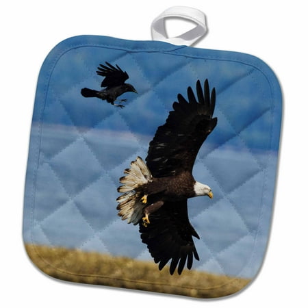 3dRose Crow attacking Bald Eagle - Pot Holder 8 by 8-inch