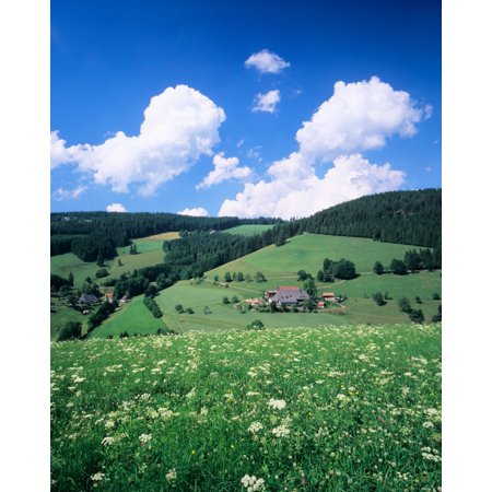 Farmhouse in a field Glottertal Valley Black Forest Baden-Wurttemberg Germany Stretched Canvas - Panoramic Images (12 x 36)
