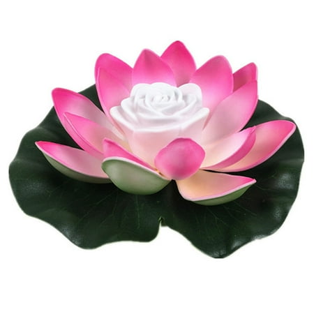 Jmtresw Blessing Water Lily Candle Light Battery Operated LED Colorful Lotus Lantern EVA
Jmtresw Blessing Water Lily Candle Light Battery Operated LED Colorful Lotus Lantern EVA