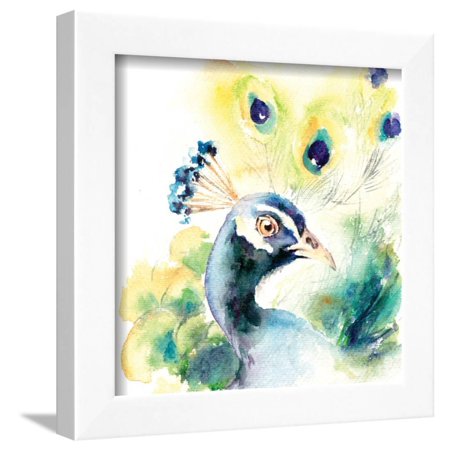 Peacock Framed Print Wall Art By Sophia Rodionov