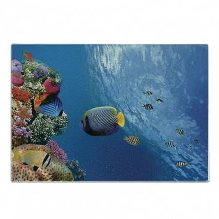 Under the Sea Cutting Board Tropical Emperor Long Living Angelfish in Underwater Exotic Marine Animal Image Decorative Tempered Glass Cutting and Serving Board Small Size Blue by Ambesonne
Under the Sea Cutting Board Tropical Emperor Long Living Angelfish in Underwater Exotic Marine Animal Image Decorative Tempered Glass Cutting and Serving Board Small Size Blue by Ambesonne