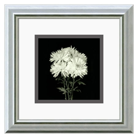 Flower Series IX Framed Wall Art - 11.99W x 11.99H in.