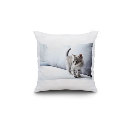 Beautiful Gray Kitten on Sofa Photography A-90285 (18x18 Spun Polyester Pillow, Custom Border)