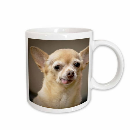 3dRose Toothless Chihuahua Dog Santa Fe New Mexico - US32 JMR0502 - Julien McRoberts Ceramic Mug 15-ounce
3dRose Toothless Chihuahua Dog Santa Fe New Mexico - US32 JMR0502 - Julien McRoberts Ceramic Mug 15-ounce