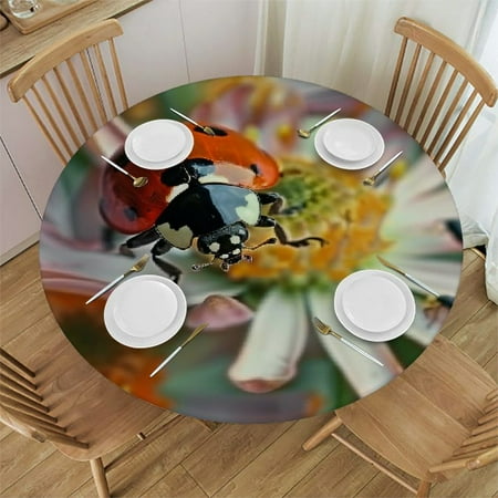 Elastic Edged Round Tablecloth Ladybug Daisy Print Table Cloth Cover for Indoor Outdoor Kitchen Party
Elastic Edged Round Tablecloth Ladybug Daisy Print Table Cloth Cover for Indoor Outdoor Kitchen Party