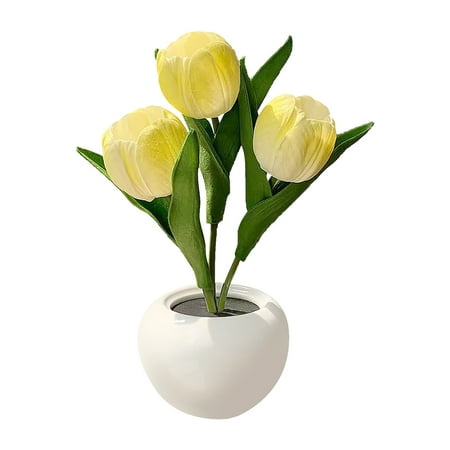 Wedding Ornament With Ceramic Vase Gift Desktop LED Night Light Simulation Tulip
Wedding Ornament With Ceramic Vase Gift Desktop LED Night Light Simulation Tulip