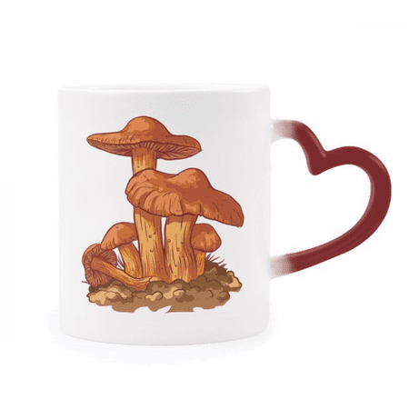 Cute Orange Mushroom Creature Illustration Heat Sensitive Mug Red Color Changing Stoneware Cup
Cute Orange Mushroom Creature Illustration Heat Sensitive Mug Red Color Changing Stoneware Cup