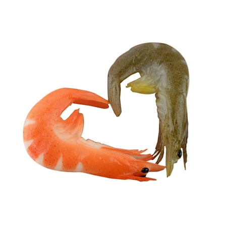 FRCOLOR 2PCS Simulation Shrimp Food Model Artificial Shrimp Multipurpose Decoration Photography Prop
FRCOLOR 2PCS Simulation Shrimp Food Model Artificial Shrimp Multipurpose Decoration Photography Prop