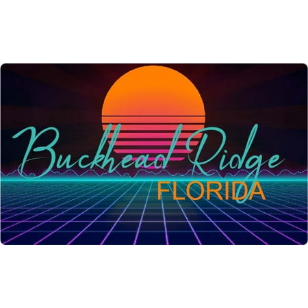 Buckhead Ridge Florida 4 X 2.25-Inch Fridge Magnet Retro Neon Design