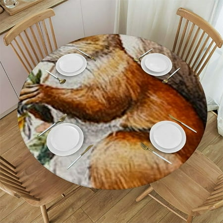 Patifu Squirrel Flowers Leaves Round Tablecloth 100% Polyester Stain-Resistant Home Kitchen Parties Holiday Dinner Tablecloths 54 -58
Patifu Squirrel Flowers Leaves Round Tablecloth 100% Polyester Stain-Resistant Home Kitchen Parties Holiday Dinner Tablecloths 54 -58