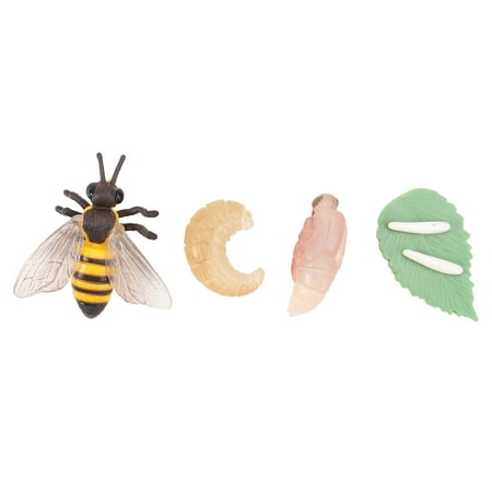 NUOLUX 1 Set of Simulation Animal Evolution Model Toy Model Party Decorations for Kids