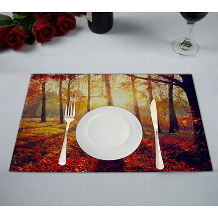 GCKG Landscape Scenery Placemat Autumn Trees and Leaves at Sunset Placemat 12x18 Inch Set of 2
GCKG Landscape Scenery Placemat Autumn Trees and Leaves at Sunset Placemat 12x18 Inch Set of 2