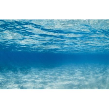 Posterazzi DPI12291799 Underwater Poster Print by Design Pics Vibe, 17 x 11