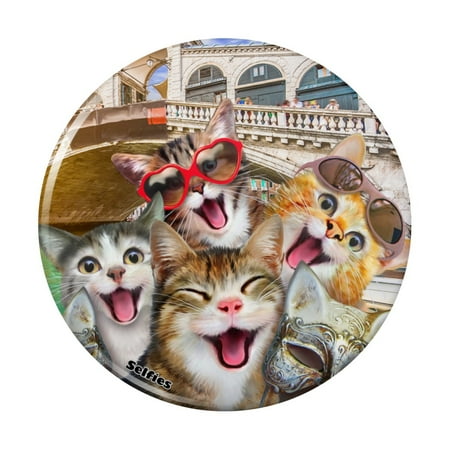 Venice Italy Cats Selfie Kitchen Refrigerator Locker Button Magnet