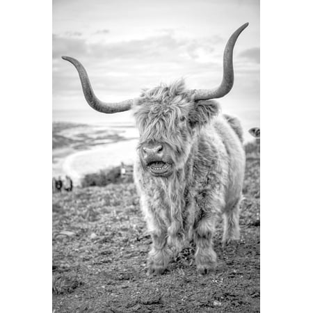 Highland Cows VI Print Wall Art By Joe Reynolds