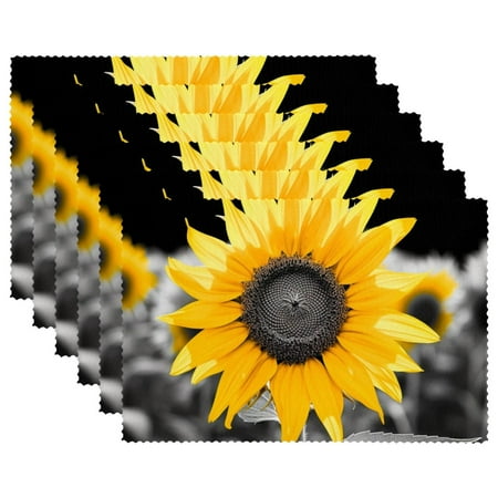 Placemats Set of 6 Washable Place Mats for Dining Table Black and White and Sunflowers
Placemats Set of 6 Washable Place Mats for Dining Table Black and White and Sunflowers