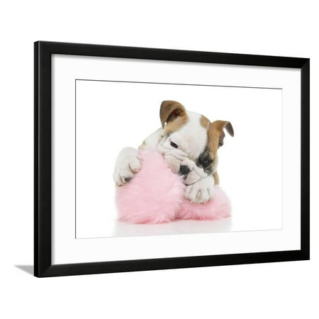 Puppies 057 Framed Print Wall Art By Andrea Mascitti