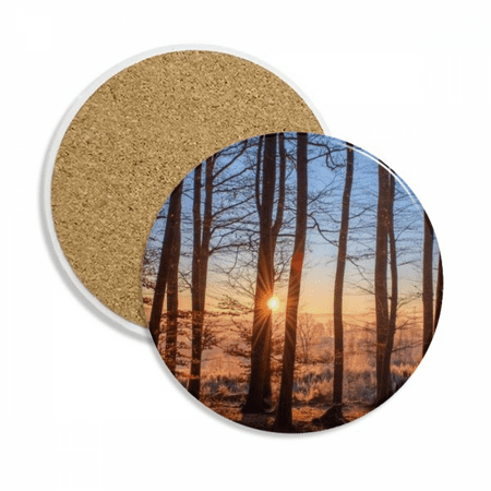 Dark Forestry Science Nature Scenery Coaster Cup Mug Tabletop Protection Absorbent Stone
Dark Forestry Science Nature Scenery Coaster Cup Mug Tabletop Protection Absorbent Stone