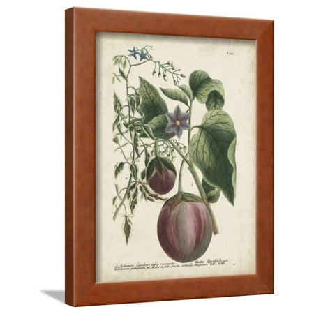 Exotic Weinmann Botanical IV Framed Print Wall Art By Weinmann