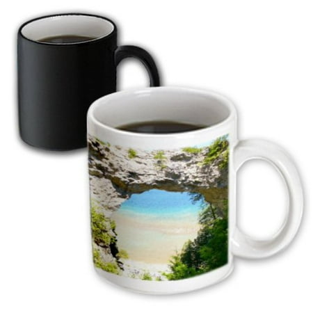 3dRose Mackinac Island Arch Magic Transforming Mug 11oz