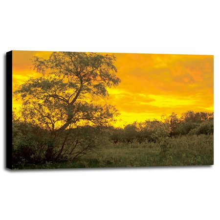 Buffalo River 15-GORSEM69855 Print 11.25"x17.75" by Gordon Semmens in a Canvas Stretched in Maple Frame