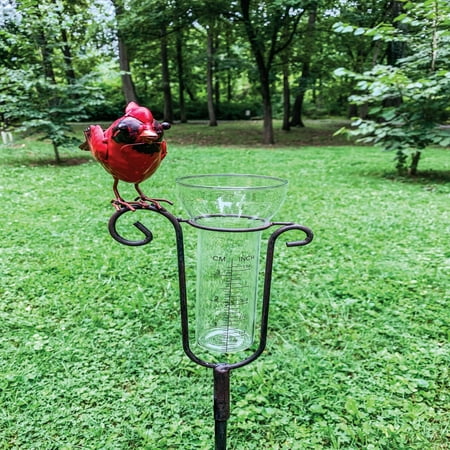 48 Red and Clear Cardinal Rain Gauge with Stake