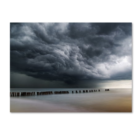 Trademark Fine Art 'Clouds' Canvas Art by Mindaugas Zarys