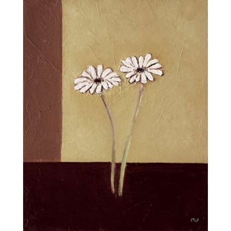 Daisies on brown Stretched Canvas - Hedy (8 x 10)