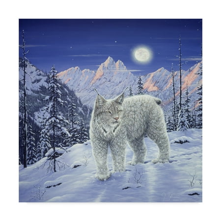 Trademark Fine Art 'Moonlight Wilderness' Canvas Art by Jeff Tift