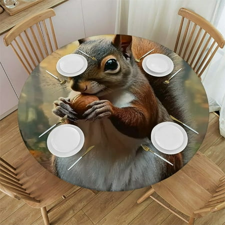 Autua Squirrel Nuts Woods Round Table Cover Stain Resistant and Washable Perfect for Indoor and Outdoor Use Kitchen Dining Wedding Parties 100% Polyester Fiber 38 -42
Autua Squirrel Nuts Woods Round Table Cover Stain Resistant and Washable Perfect for Indoor and Outdoor Use Kitchen Dining Wedding Parties 100% Polyester Fiber 38 -42