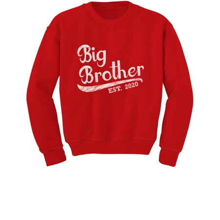 Tstars Boys Big Brother Shirt Gift for Big Brother 2020 Graphic Siblings Gift Birthday Baby Shower Pregnancy Announcement Big Bro Gifts for Brother Toddler Kids Sweatshirt
Tstars Boys Big Brother Shirt Gift for Big Brother 2020 Graphic Siblings Gift Birthday Baby Shower Pregnancy Announcement Big Bro Gifts for Brother Toddler Kids Sweatshirt