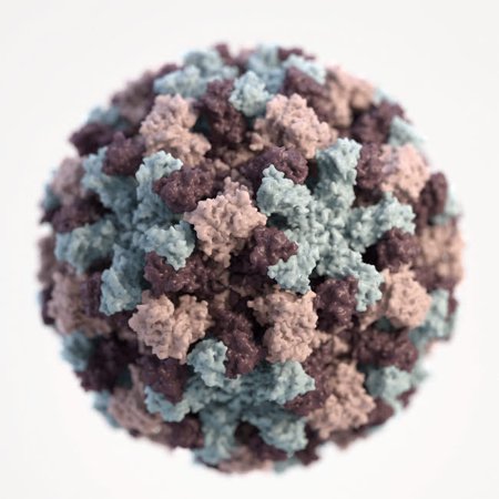 A 3D graphical representation of a single Norovirus Poster Print by Stocktrek Images