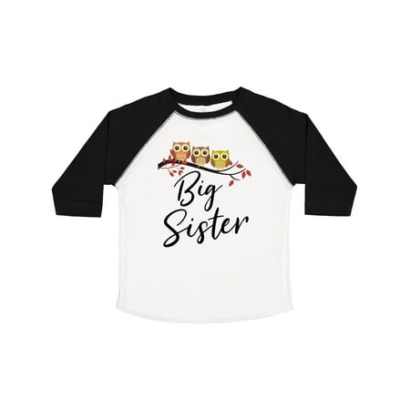 Inktastic Owl Big Sister Gift Toddler Toddler Girl T-Shirt
Inktastic Owl Big Sister Gift Toddler Toddler Girl T-Shirt