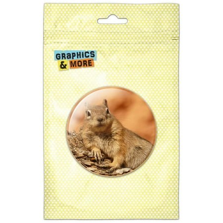 Ground Squirrel Resting Refrigerator Button Magnet